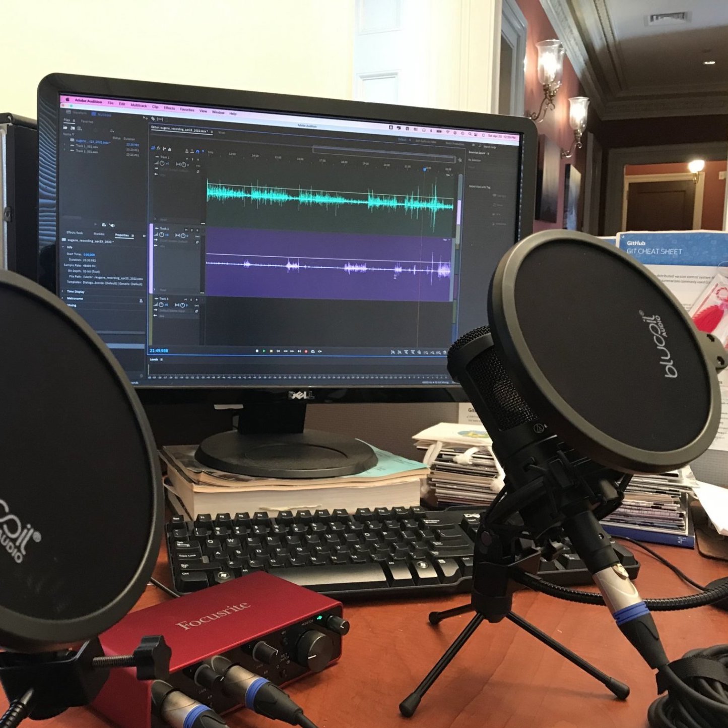 Picture of two 
								microphones and a computer screen showing a podcast episode being recorded